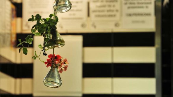 Shining lights and greenery in the Mint Bar at Sage.