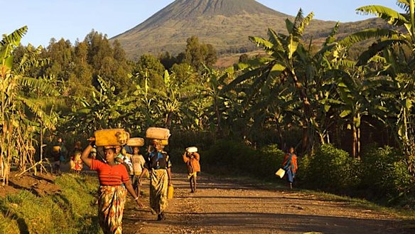 The approach to Rwanda's Volcanoes National Park.