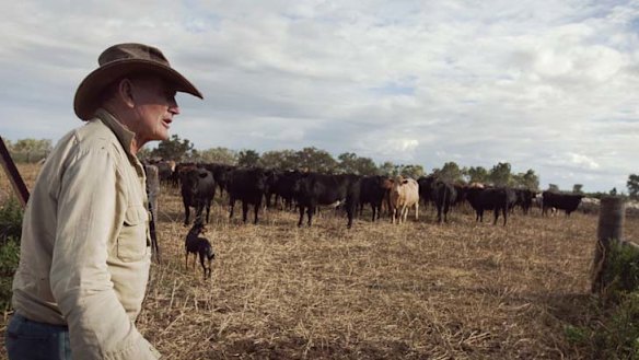 Rescued by an ever-shortening long paddock