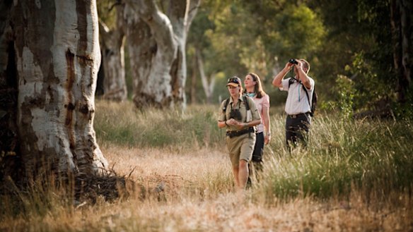 Settler chic ... led by a guide, guests take in the wildlife.