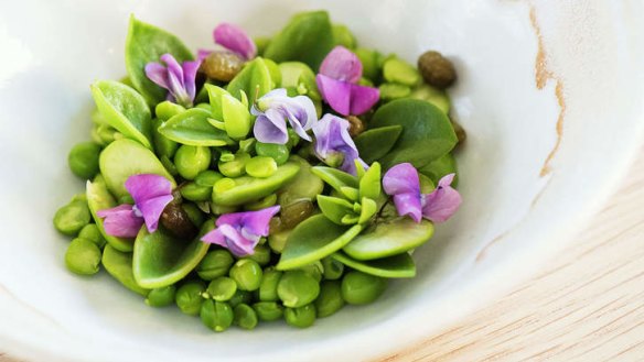 Highlight: Peas and broad beans with sea lettuce gel and iceplant.