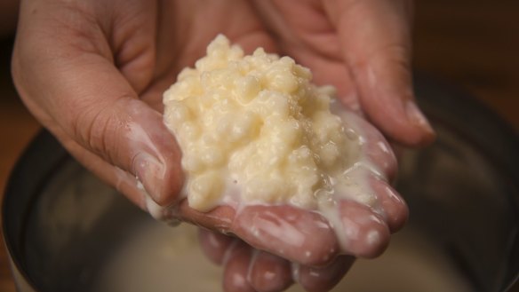 Water kefir can be produced from many liquids, including sugar water, coconut water and soy milk, and is flavoured with fruits, herbs and ginger.