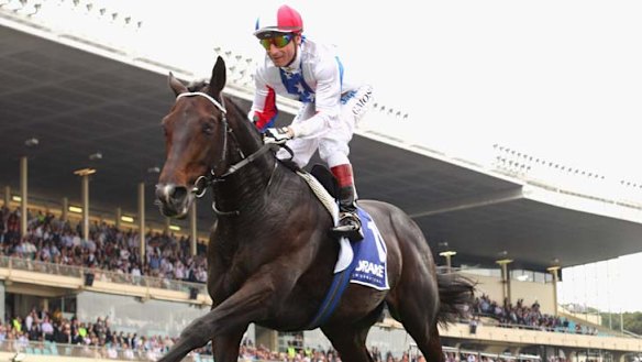 "There is a very special bond there." Alain de Royer-Dupre on Americain's relationship with Stephanie Nigge.