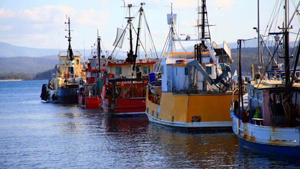 Potter luck ... fishing boats at Eden.