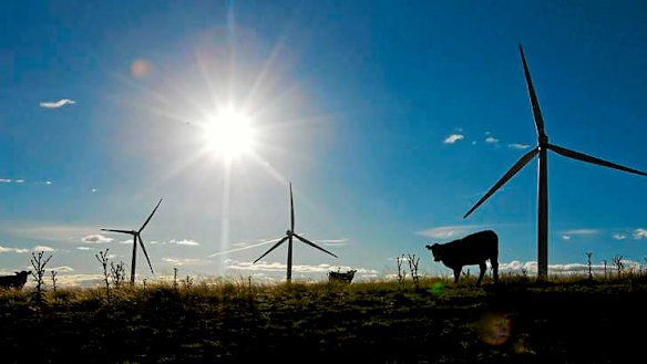 Large scale wind farms will become more common in Australia.