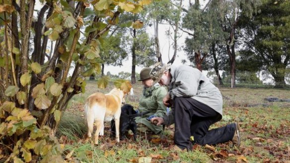 Kate Marshall and Peter Marshall of Terra Preta Truffles near Braidwood.