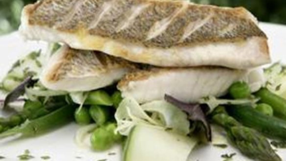 Seared local snapper fillets with summer vegetable salad and