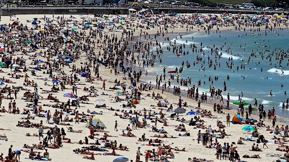 100 million-plus beach visits each year in Australia - and fewer than one death from shark bites.