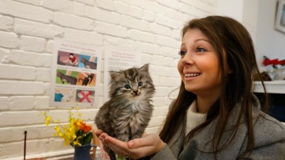 Hollie Torrington with an 8-week old kitten in Sydney.