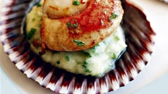 Pan-fried scallops with celeriac and chives