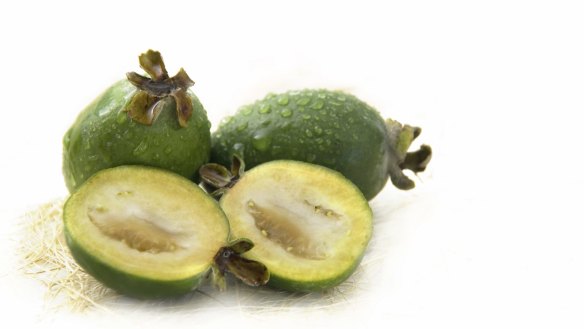 Great feijoa secrets to be the revealed.