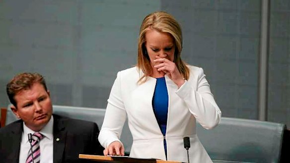The Member for Lindsay Fiona Scott delivers her maiden speech, at Parliament House in Canberra on Wednesday.