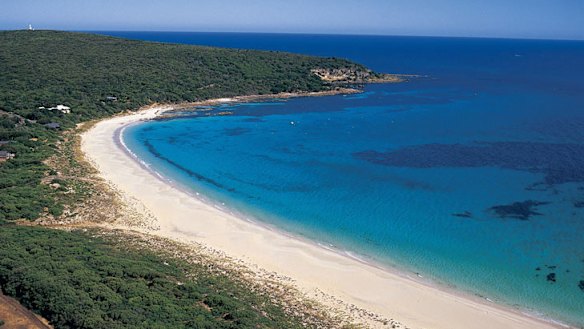 The idyllic Bunker Bay was the scene of terror yesterday after a 21-year-old man was mauled by a shark.