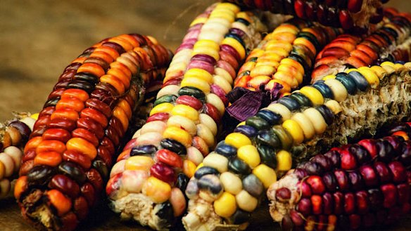 Heirloom vegetables: Harvest from Simon Rickard's book