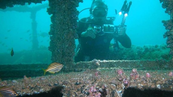 Joys of wrecks... the former HMAS Adelaide is a popular artificial reef.