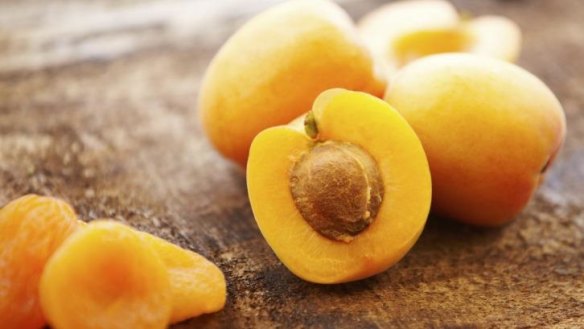 Golden delight: Summer means lush apricots, especially home-grown ones.