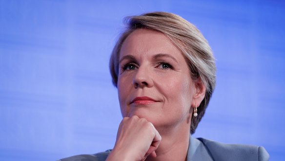 Labor's education spokeswoman, Tanya Plibersek, says the NAPLAN test has become "too high stakes". 