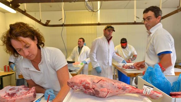 Fat of the land: Chris Smith (right) waits to bone the next lamb leg as Fran McMeel weighs and documents each cut for research into producing better meat.