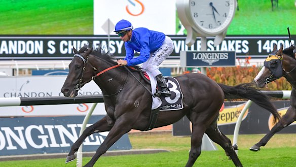 Top pick : Kementari is dividing opinion in bookmaking ranks.