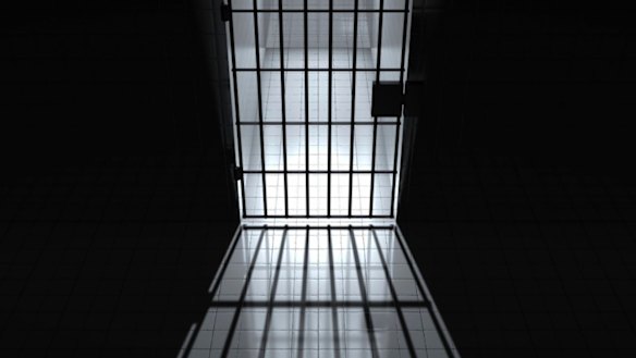 People with disabilities are vastly over-represented in prisons, and have great difficulty coping.