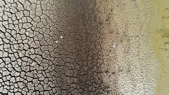 The dry conditions have been made worse by unusually hot days this summer.