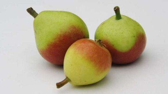 Paradise pears are also known as faccia bella.