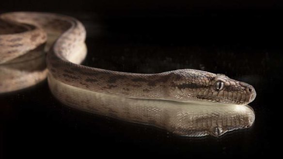 Snakes alive - if only he'd been seeing double