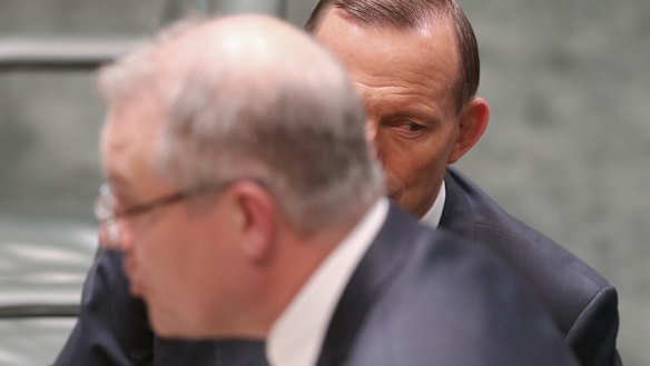 Social Services Minister Scott Morrison and Prime Minister Tony Abbott during question time on Thursday.