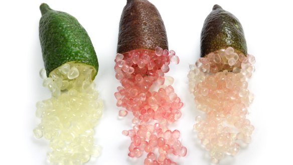 Australian finger limes, or citrus caviar, come in many colours.