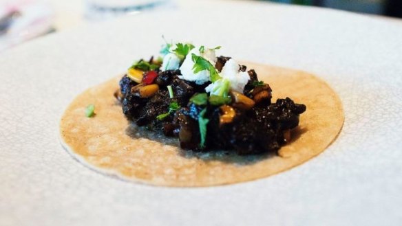 A huitlacoche taco with zucchini, corn and chile. 