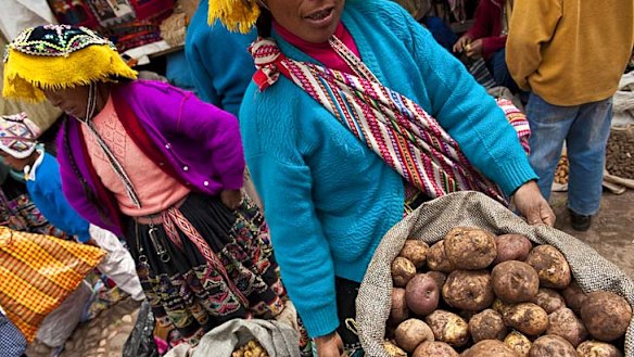 Sacred Valley ... produce at a market in Cusco; potatoes are varied.