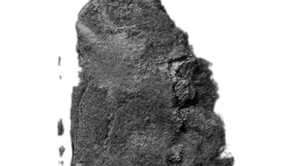 Experts using a computer imaging program have virtually unwrapped the charred En-Gedi scroll and recovered a fragment of the authoritative text of the Hebrew Bible.