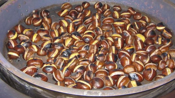 Easy peel-ly ... Heather Kane, of Tweenhills Chestnuts, has a good method of preparing the nuts.