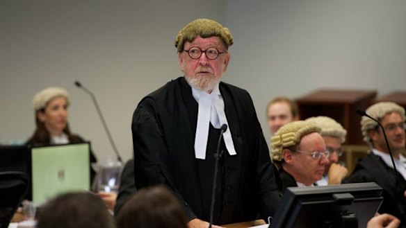 Amid the law and its jungle