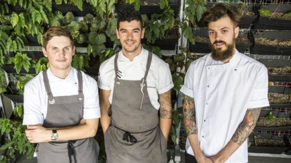 Young Chef Collective: Callum Gray, Ollie Hansford and Cormac Bradfield.
