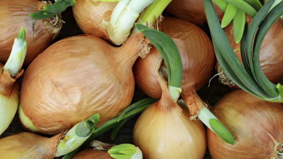 Onions take between six and eight months to grow through to maturity.