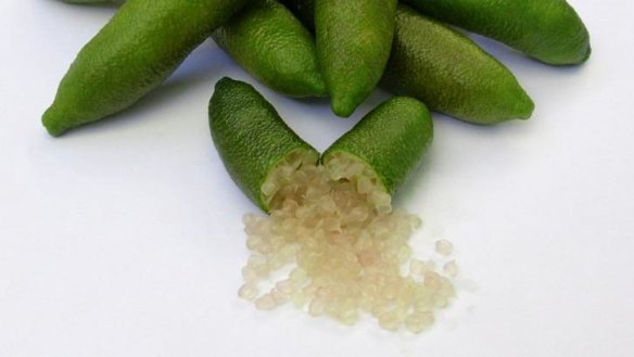 We should embrace native foods - like the 'citrus caviar' of finger lime - says chef Clayton Donovan.