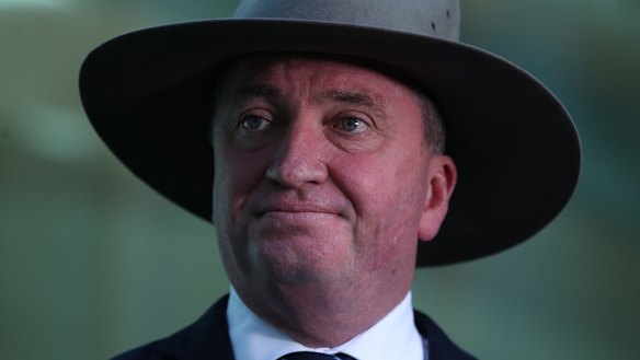 Deputy Prime Minister Barnaby Joyce at Parliament House last month.