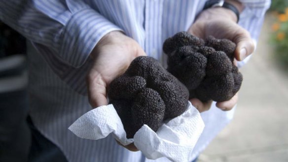 Win tickets to the <i>Canberra Times</i> truffle dinner on August 10.