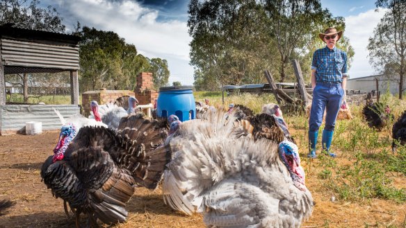Daryl Deutscher is one of seven independent Australian turkey farmers who, between them, grow 750,000 of the five million birds processed annually.