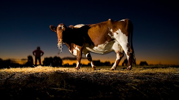 Australia produces about 40 million litres of organic milk annually.