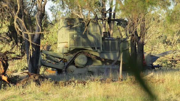 No need for camouflage next week?: There are concerns that farmers will be able to clear much more land after new codes come into force.