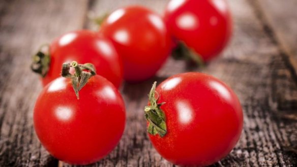 Fridge v pantry: Where you store tomatoes can affect taste and longevity.