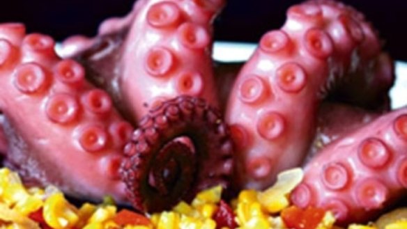 Corn relish with braised octopus