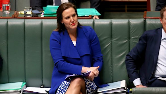 The Greens will target the Liberal seat of Higgins, held by Assistant Treasurer Kelly O'Dwyer.