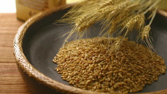 Middle Eastern superfood: Freekeh, or green wheat grain.