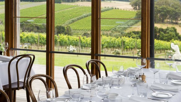 Montalto's expansive windows frame a verdant view.