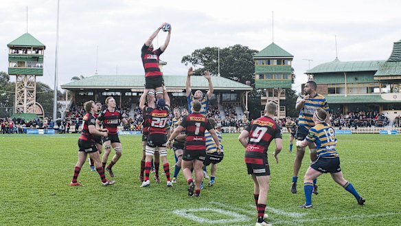 High stakes: Norths claim a lineout at the North Sydney Oval.