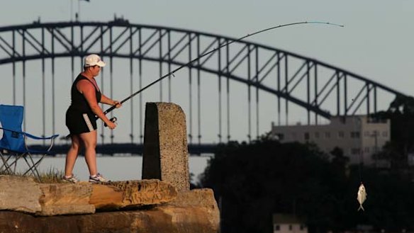 Deadly catch ... Sara Gatavi reels in a fish at Woolwich. Carcinogenic chemicals from a former pesticides factory at Homebush are spreading throughout the harbour.