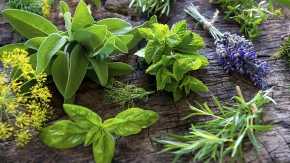 Parsley, sage, rosemary and thyme are distinctly different plants but combined they make good companions in the kitchen.